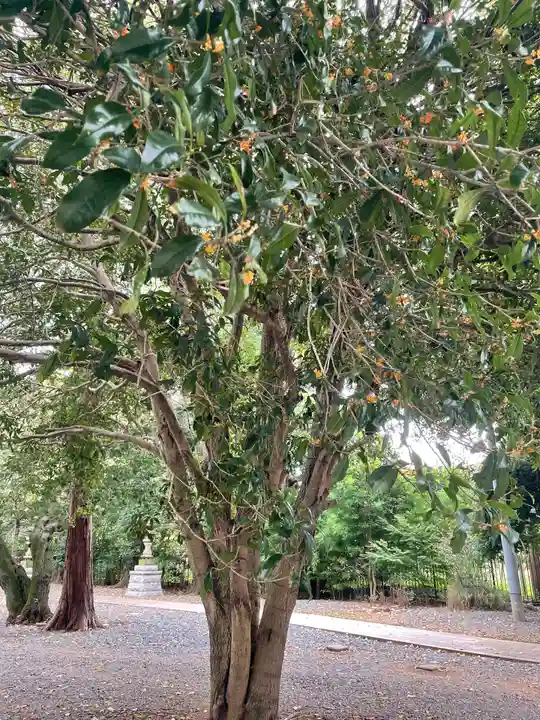 総寧寺(千葉県)