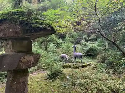 劒神社の動物