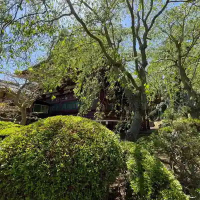 神野寺(千葉県)