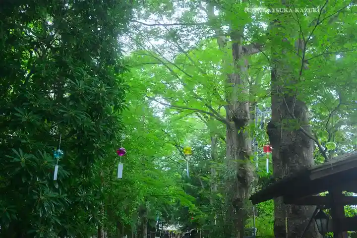 小平神明宮(東京都)