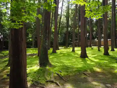 唐招提寺のその他建物
