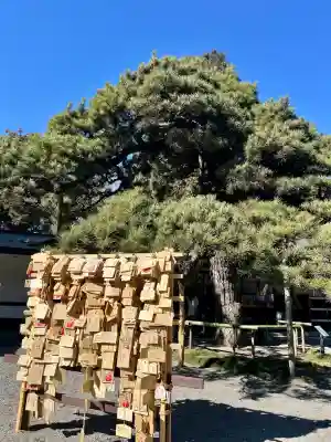 甲斐國一宮 浅間神社(山梨県)