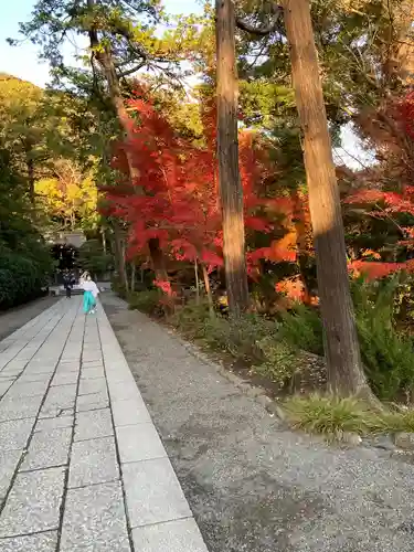 鶴岡八幡宮のその他建物