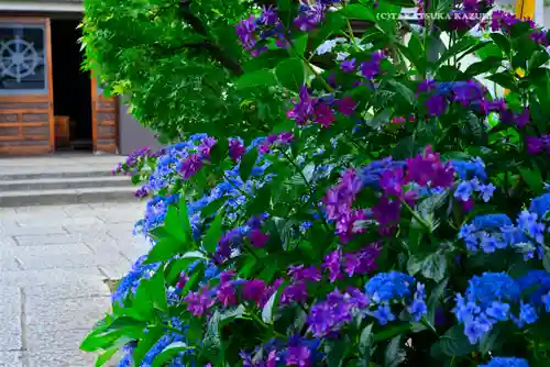 宝祥寺(東京都)