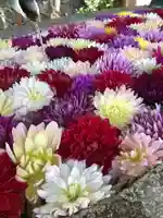 岡寺(龍蓋寺)の手水舎