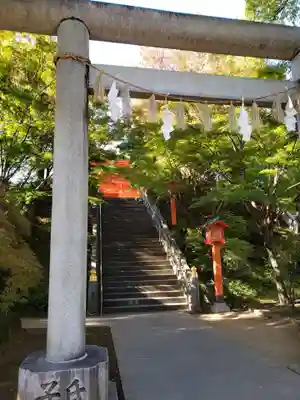 穴八幡宮の鳥居