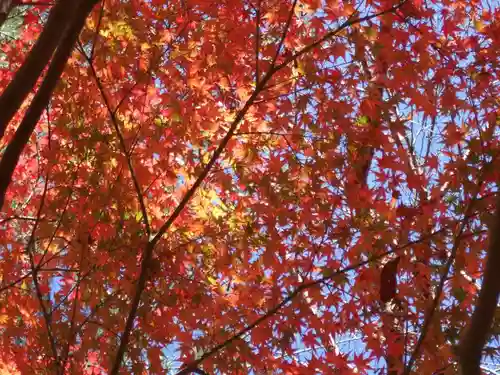 大寧寺(山口県)