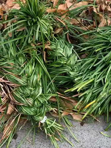 福泉寺(群馬県)