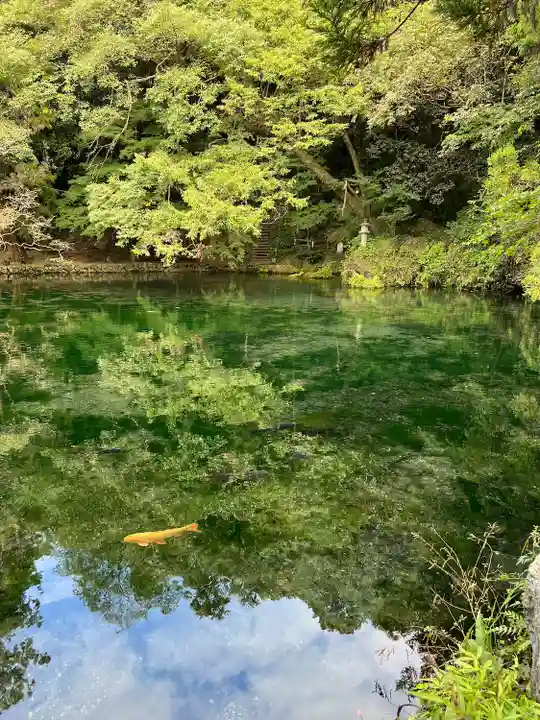 涌釜神社(栃木県)
