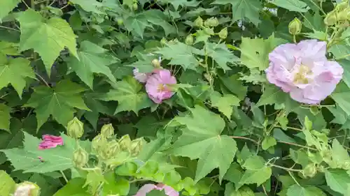真正極楽寺（真如堂）(京都府)