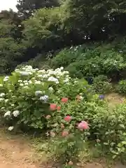 大宝八幡宮の庭園