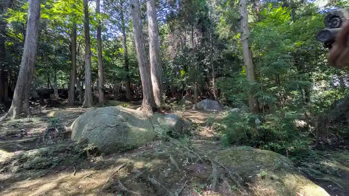龍潭寺(京都府)