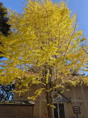 冨士御室浅間神社(山梨県)