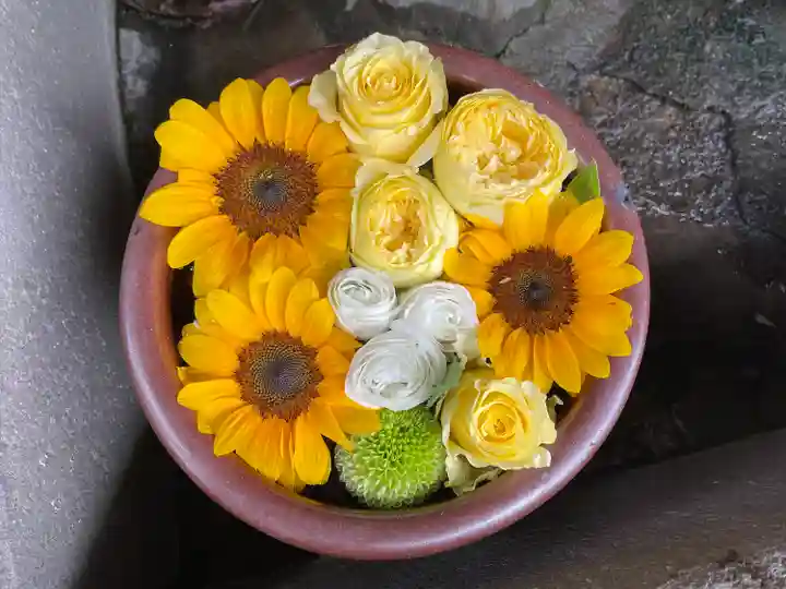 菅生神社(愛知県)
