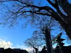 白鳥神社(長野県)