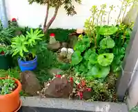 寿量山 速成寺の自然