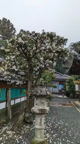 大歳神社(京都府)