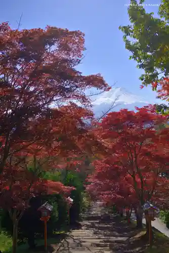新倉富士浅間神社(山梨県)