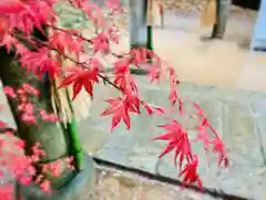 滑川神社 - 仕事と子どもの守り神の自然