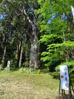 大圓寺(秋田県)
