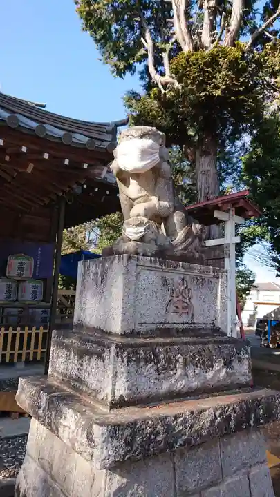 鶴峯八幡宮の狛犬