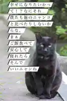 専念寺(大阪府)