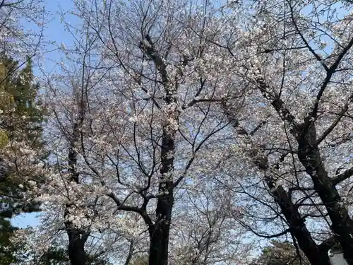 松陰神社(東京都)