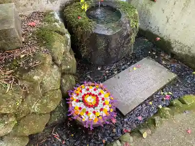 小新屋観音(兵庫県)