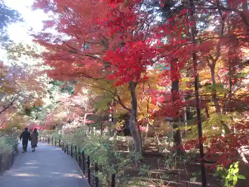 本土寺(千葉県)