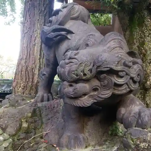 牛嶋神社の狛犬