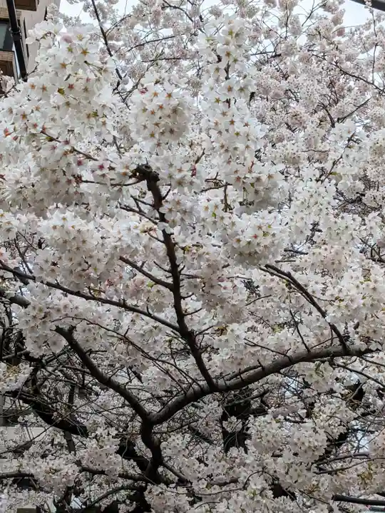 秋葉神社の自然