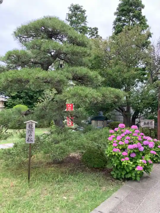 龍華寺(神奈川県)