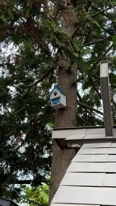 森三吉神社(北海道)