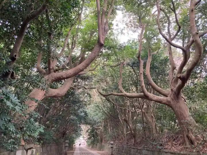 酒列磯前神社の自然