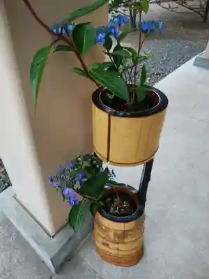 厚別神社(北海道)