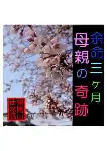 耕田院(山形県)(2024年03月31日(日) 04時14分52秒投稿)