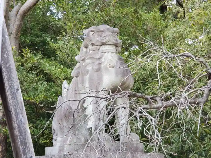 市原稲荷神社の狛犬