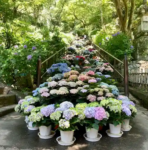 長谷寺のその他建物