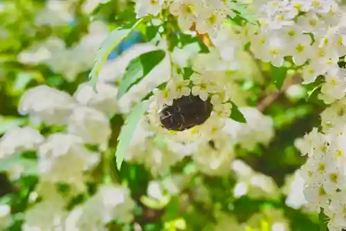 海龍王寺(奈良県)