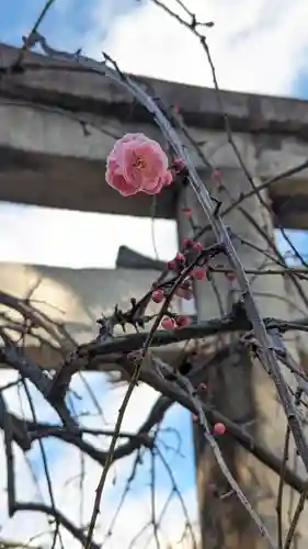 菅大臣神社(京都府)