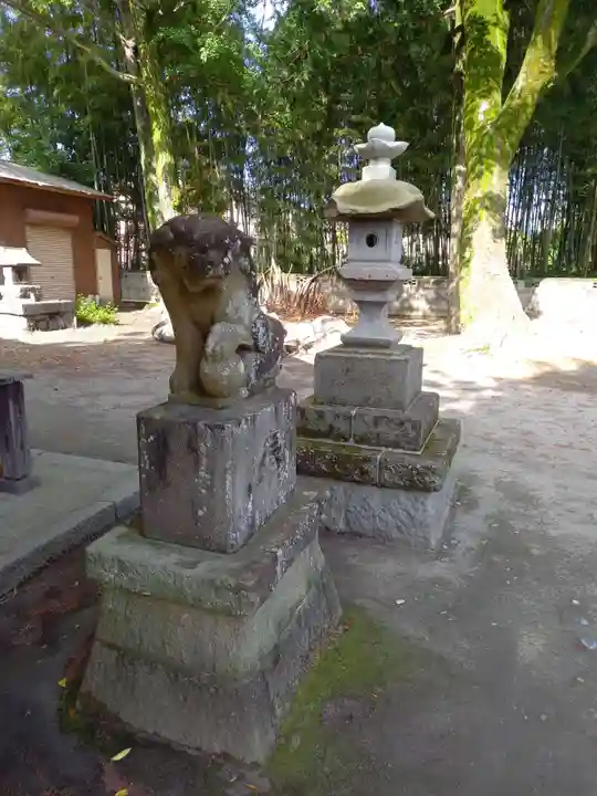 栢山神社の狛犬