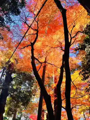 胡宮神社(敏満寺史跡)(滋賀県)