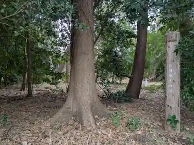 寒川神社(神奈川県)
