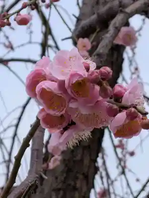 常性寺(東京都)