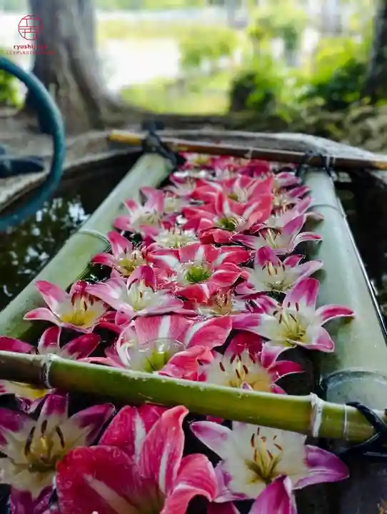 立志神社(滋賀県)