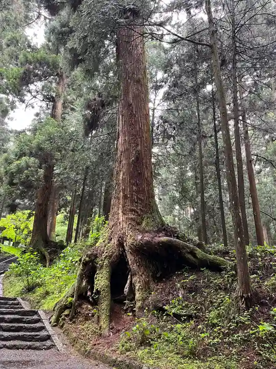 最乗寺(道了尊)(神奈川県)