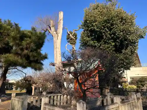 子守神社(京都府)