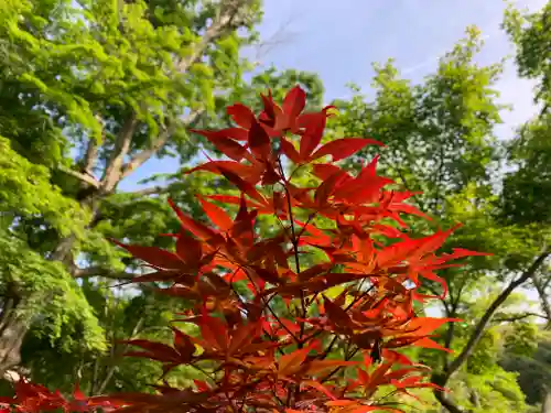 普門寺(切り絵御朱印発祥の寺)(愛知県)