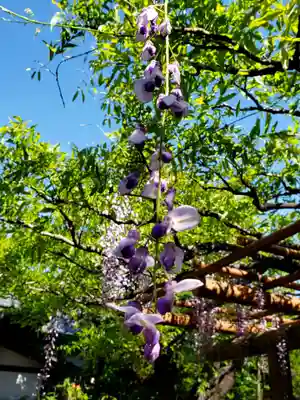 愛染院(東京都)