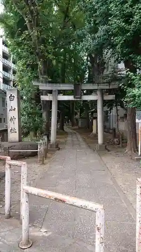 荻窪白山神社の鳥居